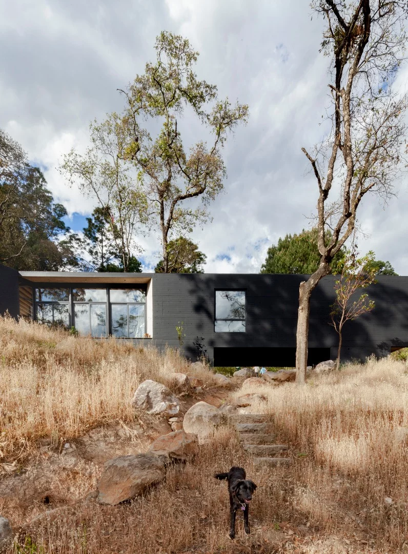 The Casa de la Roca makes use of a "huge amount" of reclaimed timber