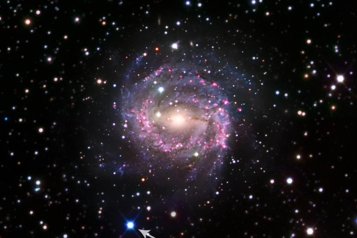 Supernova SN 2017cbv is located in the galaxy NGC 5643, about 55 million light years away, making it one of the closest supernovae recently discovered