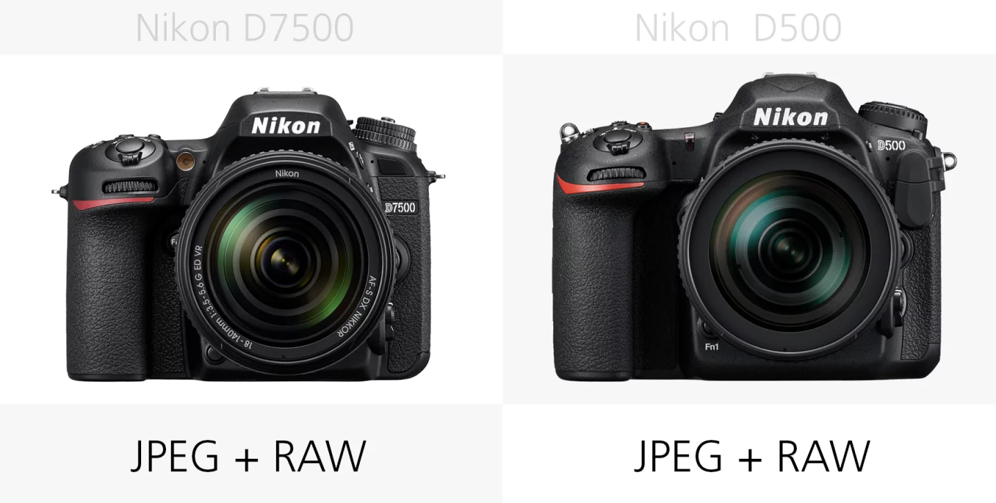 The photo file types of the Nikon D7500 and Nikon D500 compared