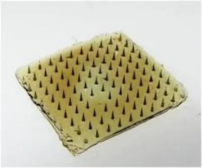 The patch has an array of cone-shaped microneedles on its underside (Image: Karp lab)