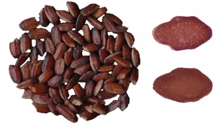 Chinese scientists have genetically engineered purple rice, which is rich in antioxidants