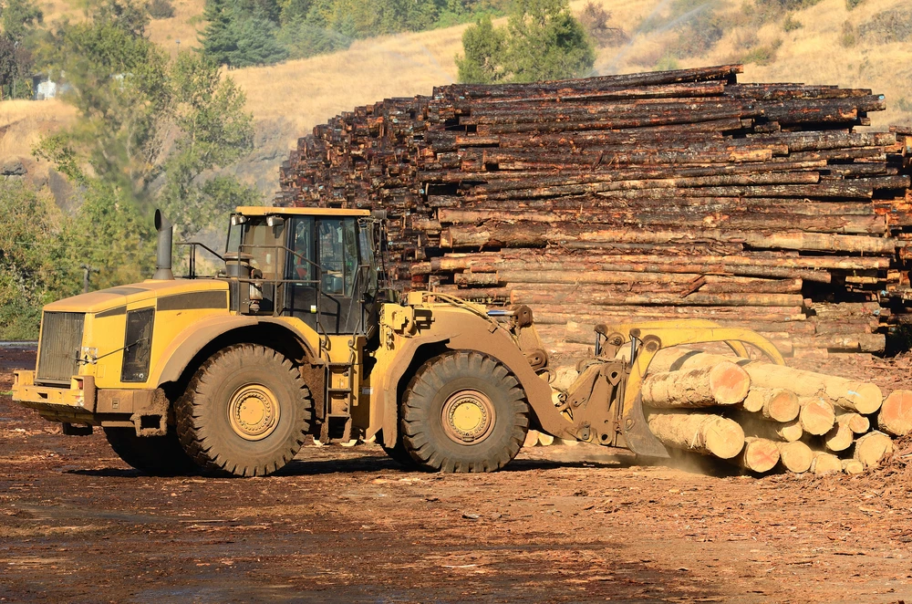 Laser "un-printers" would allow paper to be re-used, reducing the need for virgin wood pulp (Photo via Shutterstock)