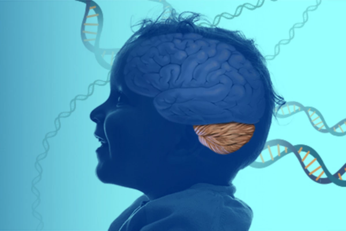 Illustration of a child with the brain visible