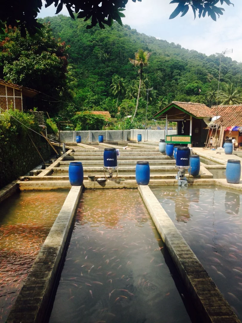 eFishery’s smart feeding system reduces the amount of feed used by 21 percent, while the false positive rate is currently less than 4 percent