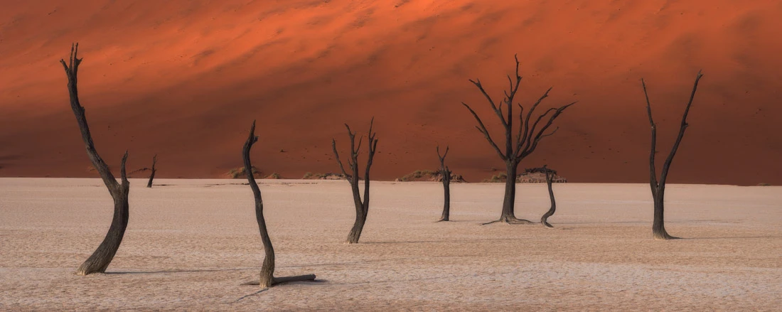 Here is a selection of spectacular favorites from the shortlisted photographs in the Amateur - Nature / Landscape category