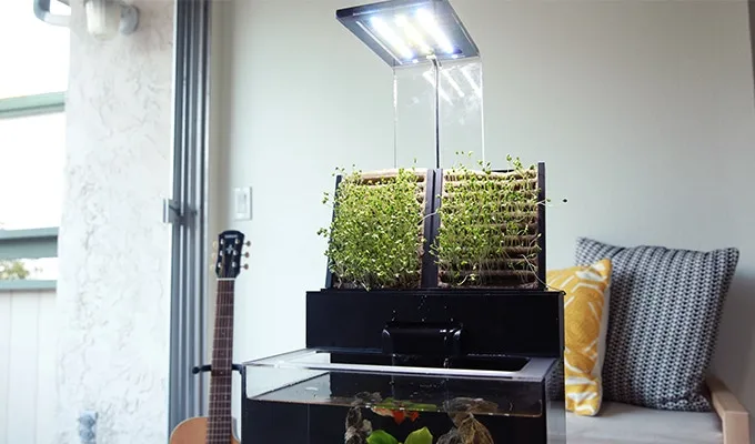 The EcoQube C+ measures 11.25 in wide, 8.25 in thick and stands 22.5 in tall