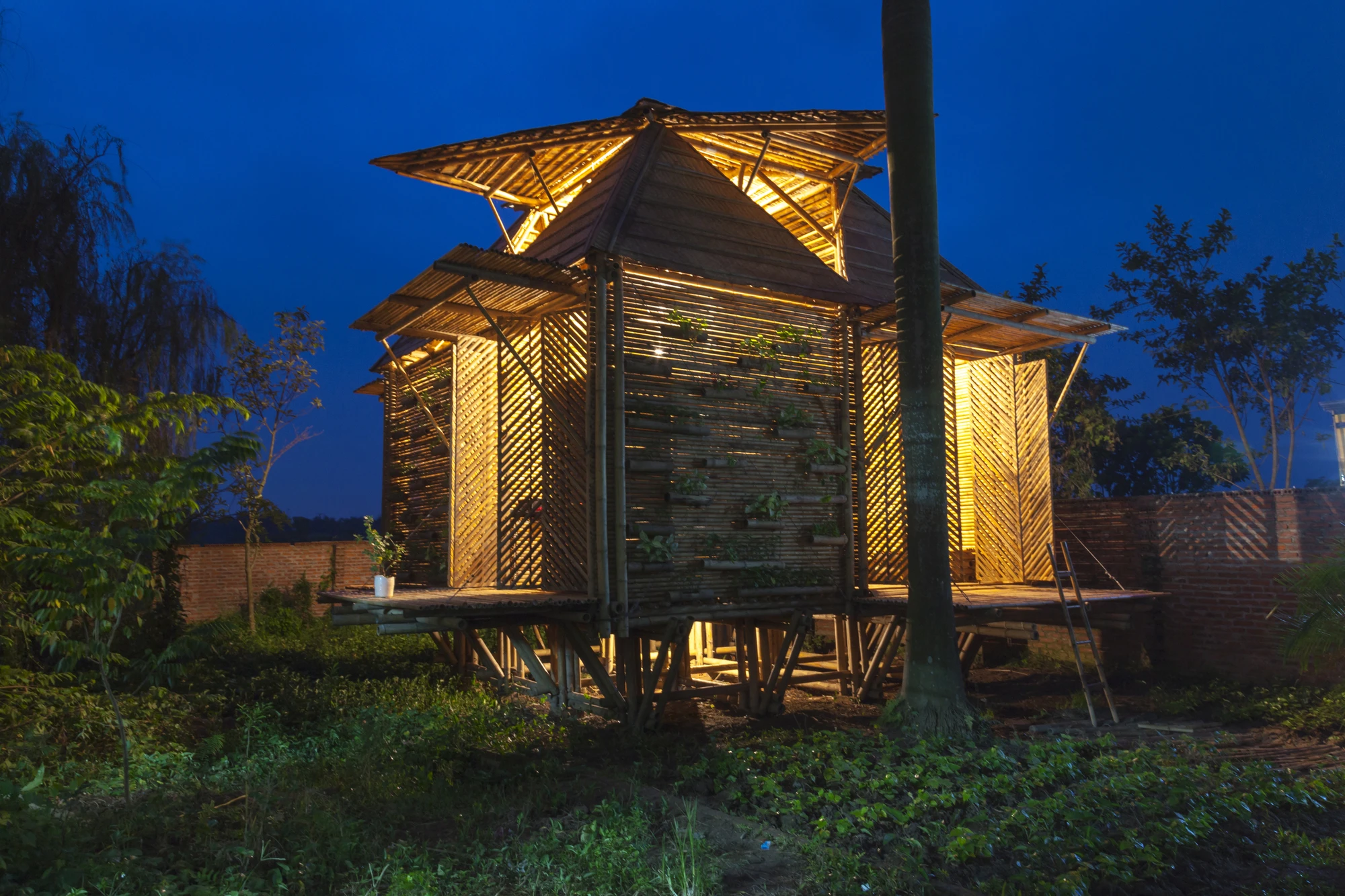 Blooming Bamboo is placed on stilts (Photo: Doan Thanh Ha)