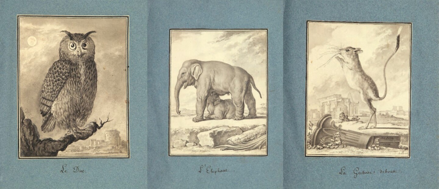 This treasure trove is a collection of 226 original drawings by French illustrator Jacques de Sève (1742 - 1788) who became famous for his superb illustrations of the Comte de Buffon's Histoire Naturelle Générale (see #50 on this list), a monumental work for which Sève produced over 2000 illustrations. These drawings are dated between 1754 and 1789 and all bear the signature of the artist, and cover 120 images of mammals and reptiles, and 106 of birds. They sold bound together in an album entitled Figures du Buffon and fetched €279,400 ($311,955) at Binoche et Giquello on June 1, 2016