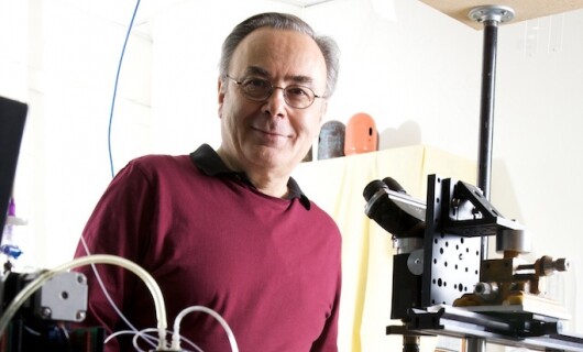 Professor Stephen Arnold (Image: NYU-Pol)