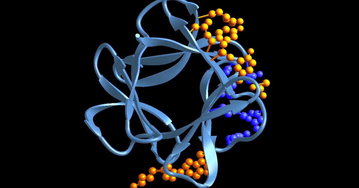 View of Single injection reverses type 2 diabetes symptoms in mice without side ...