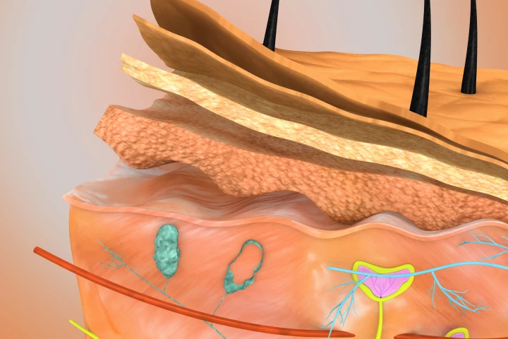 A new glowing bandage could help reduce the rates of failed tissue transplants