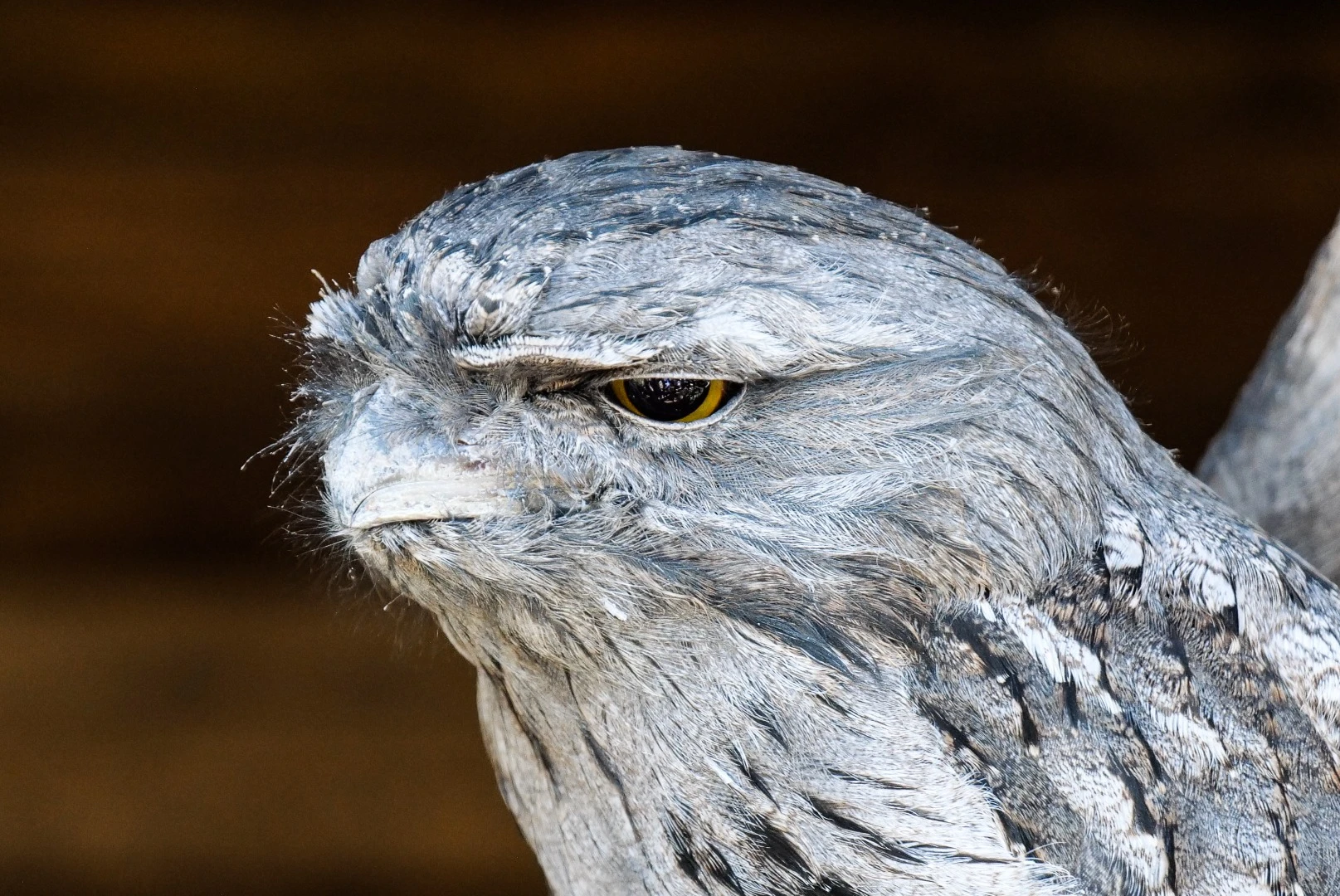 LUMIX S1R sample shot – cropped detail