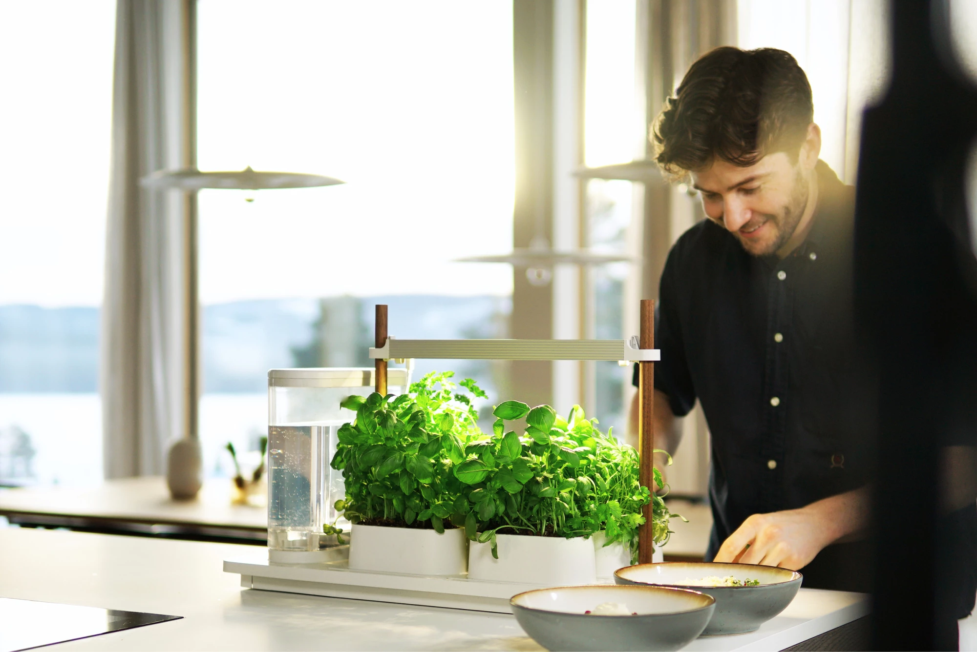The transparent tank feeds water and nutrients to the base of the pots while the overhead LED array mimics sunlight