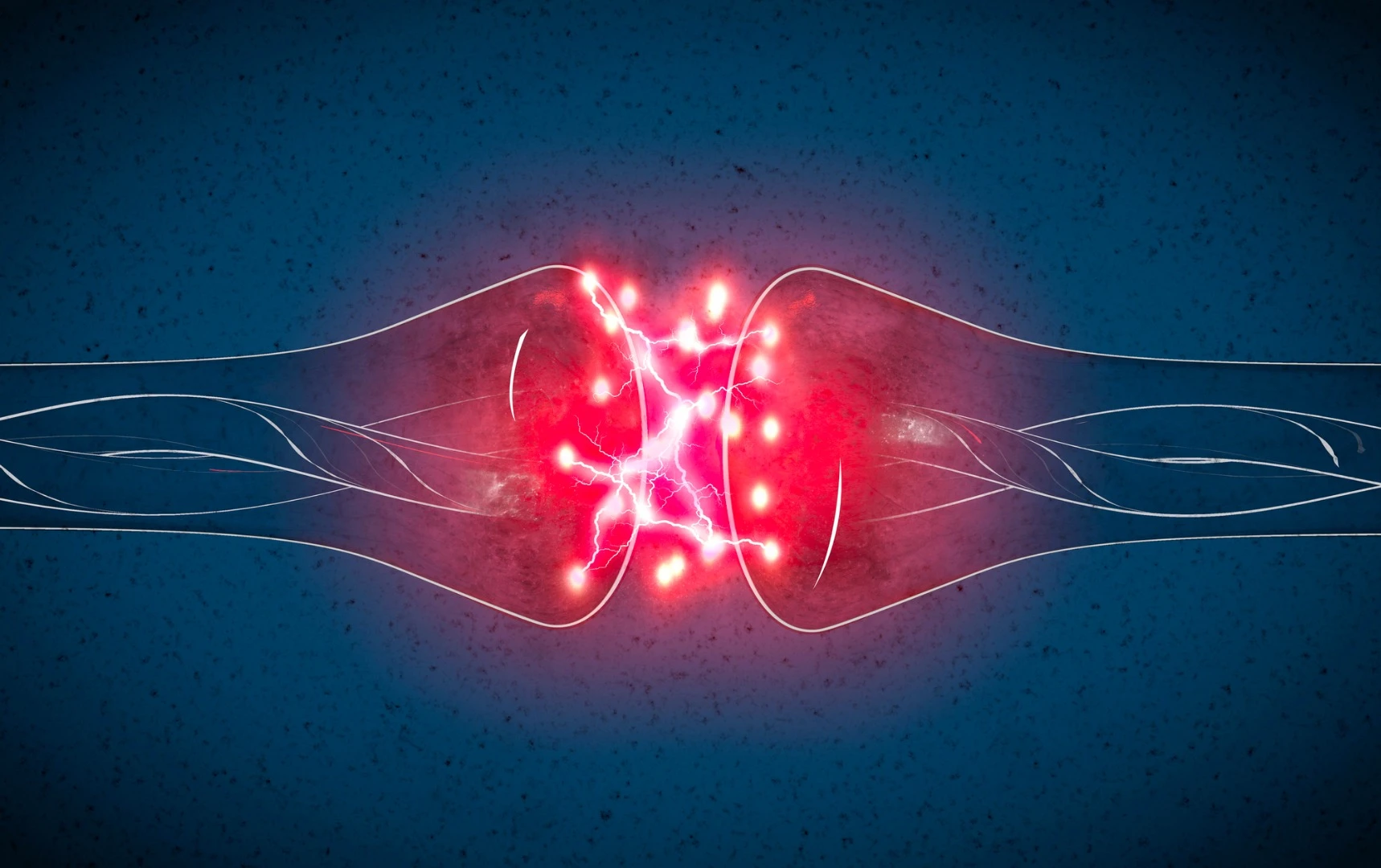 Using a PET scan researchers hope to measure synaptic density which can signal early stages of cognitive decline