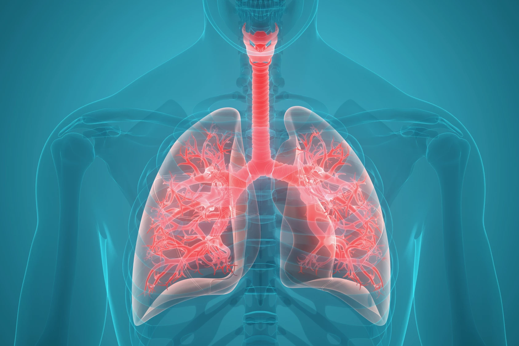 The SHIELD powder is claimed to enhance the virus-blocking properties of the lungs' mucosal layer