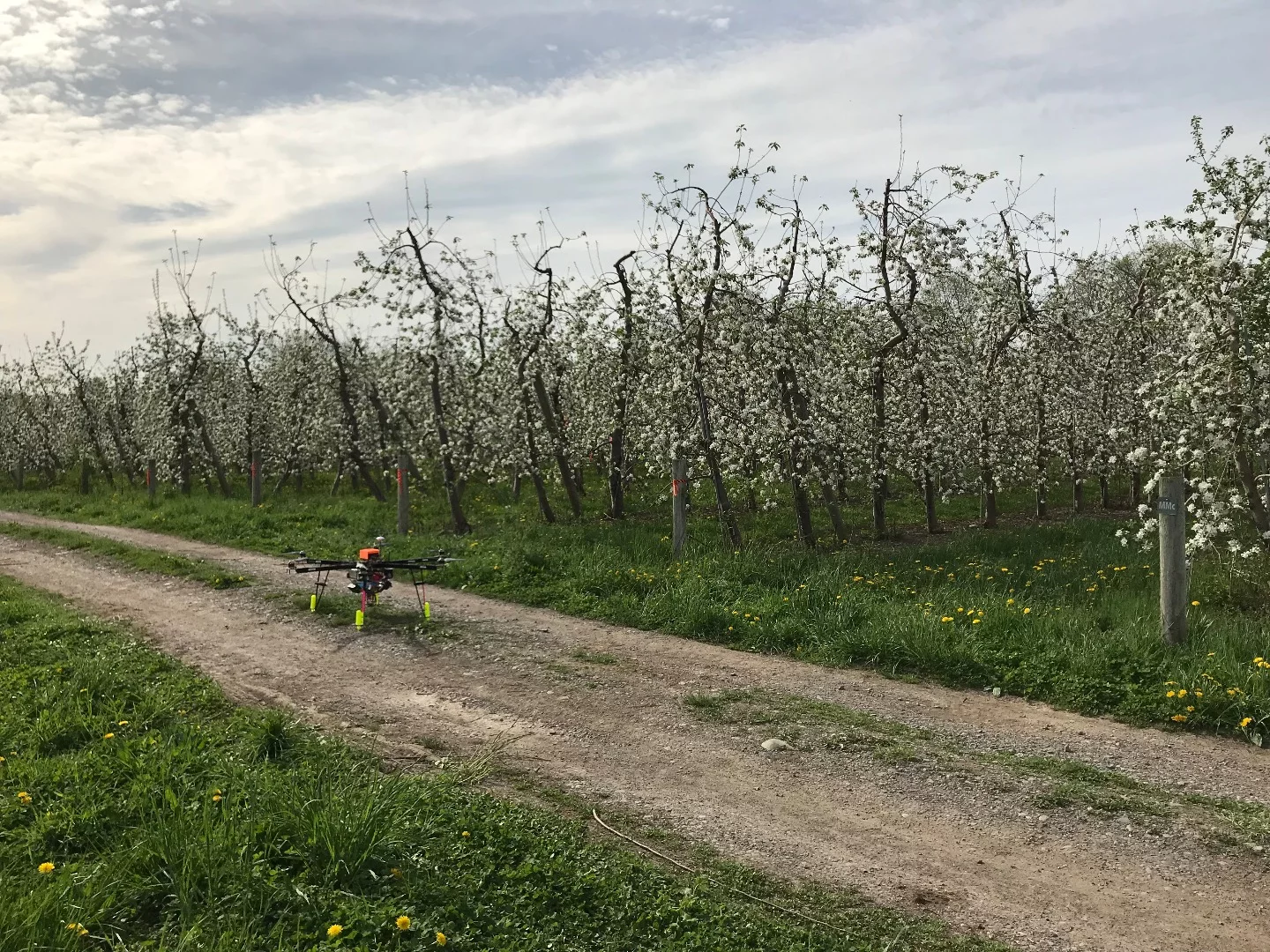 The Dropcopter drone is designed to pollen-bomb rows of crops following a pre-programmed route