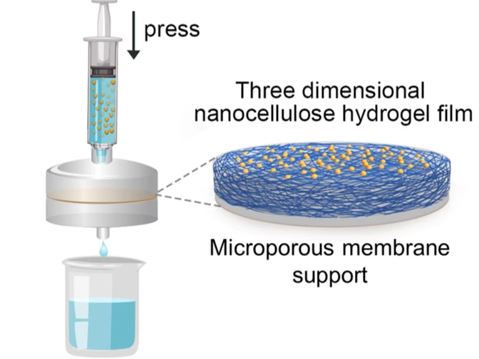 A diagram of the nanocellulose hydrogel filter
