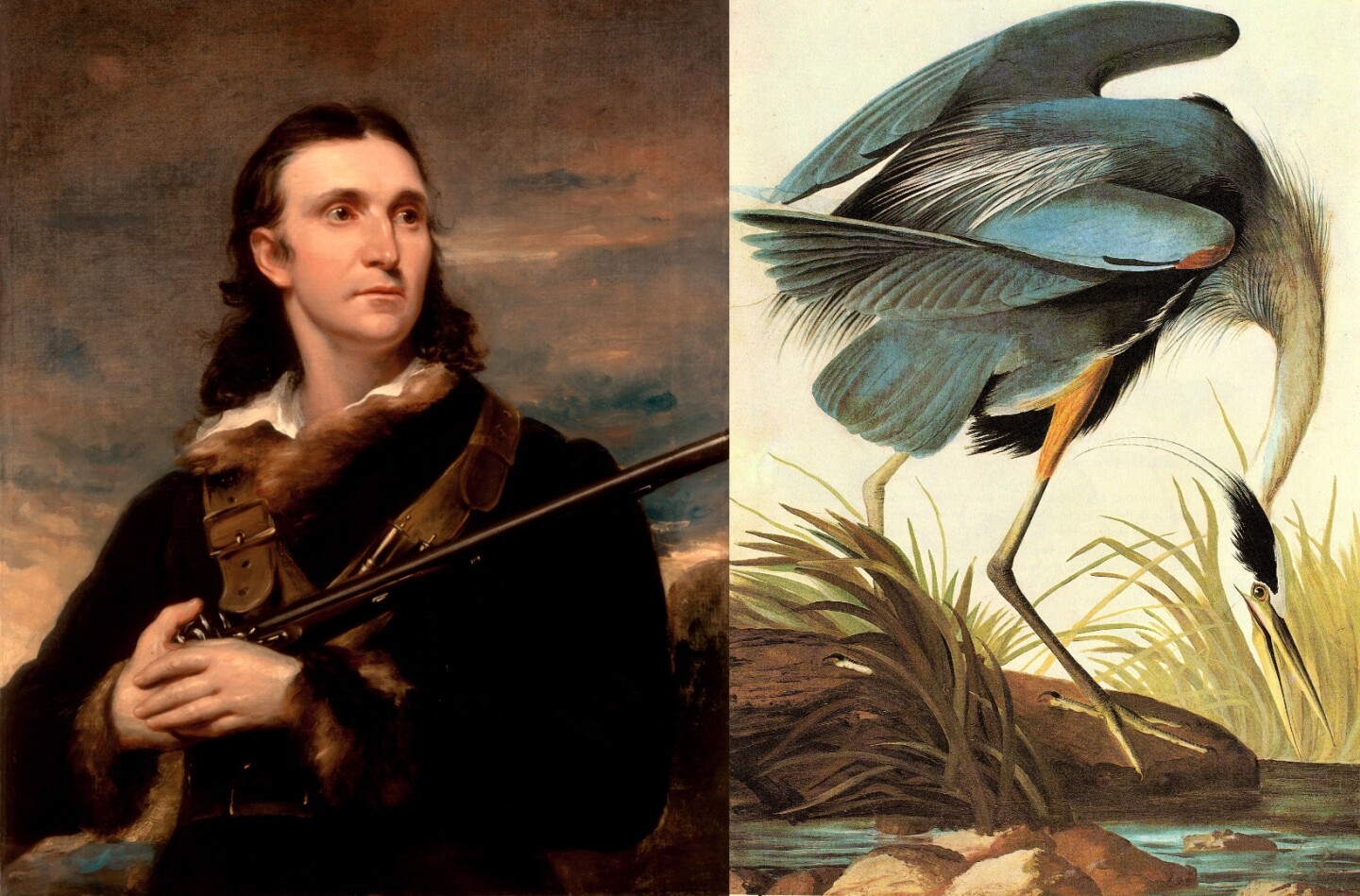 This Aquatint Engraving of the Great Blue Heron by John James Audubon sold for $305,000 at Arader Galleries on October 28, 2017