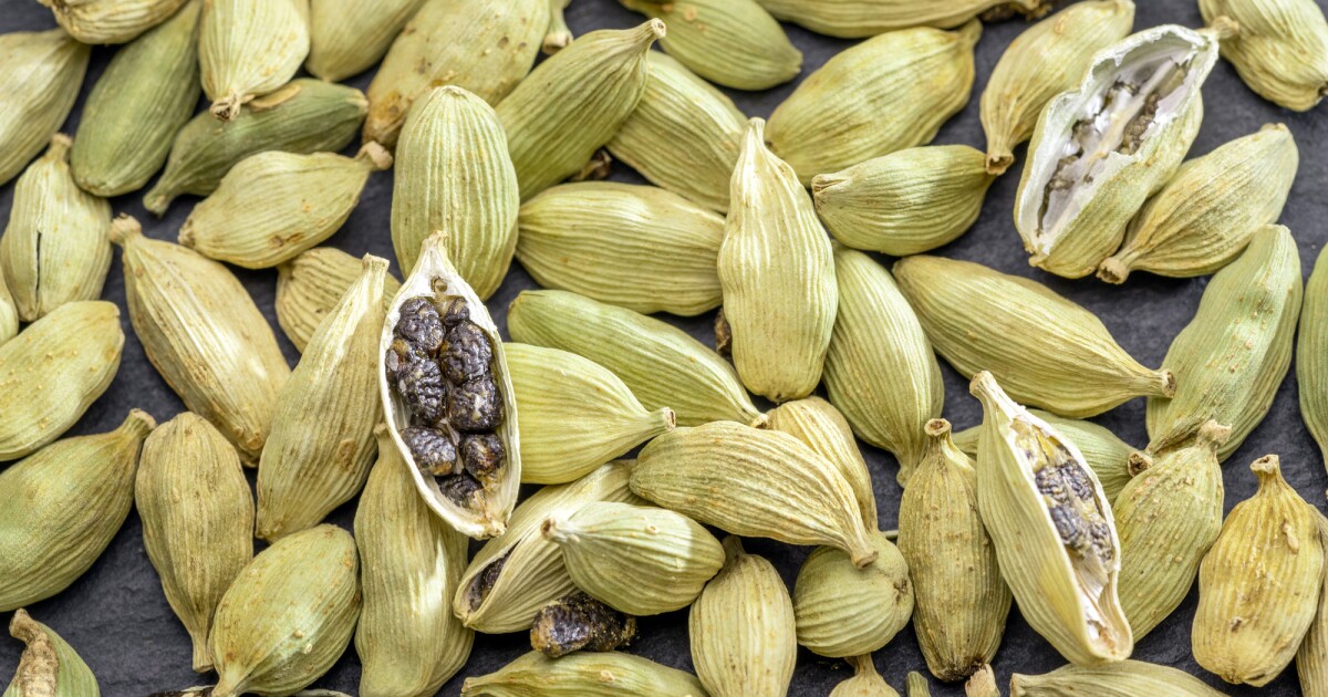 Cardamom seed compounds could naturally boost antiviral immunity Cardamom seed compounds could naturally boost antiviral immunity