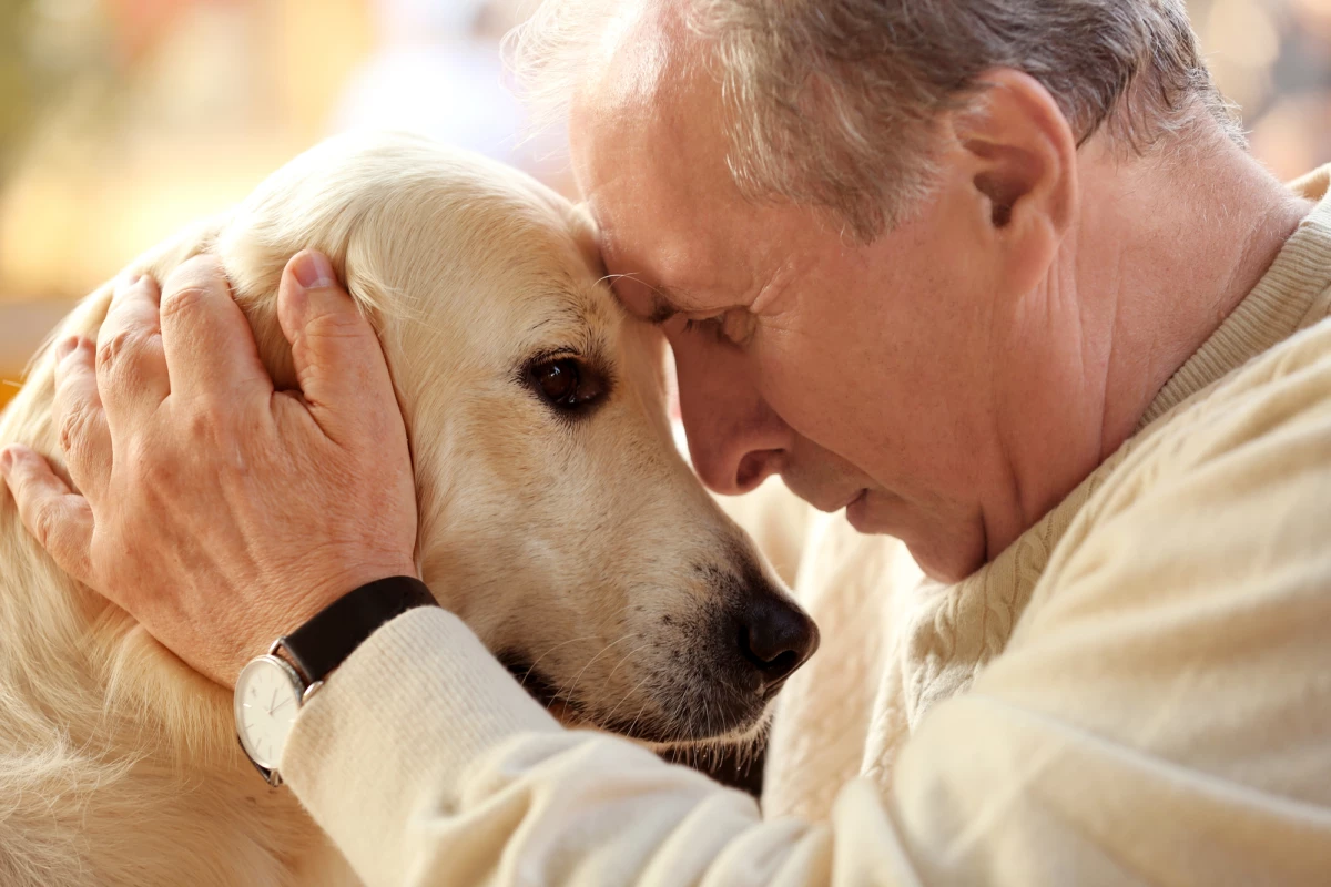 Dogs can already be helpful to those suffering from PTSD and new research shows that they might even be able to predice flashback events and interview before they happen