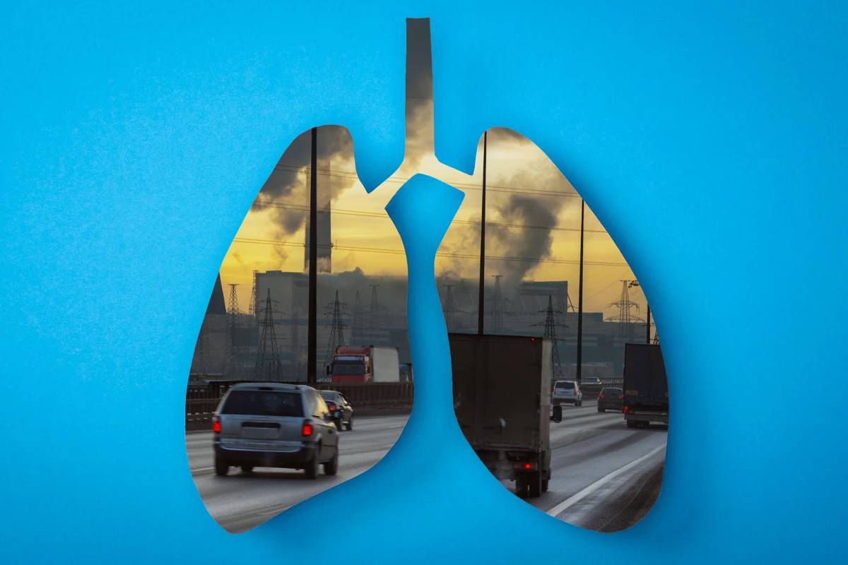 Scientists have identified how air pollution damages lung function – and potentially how to treat it