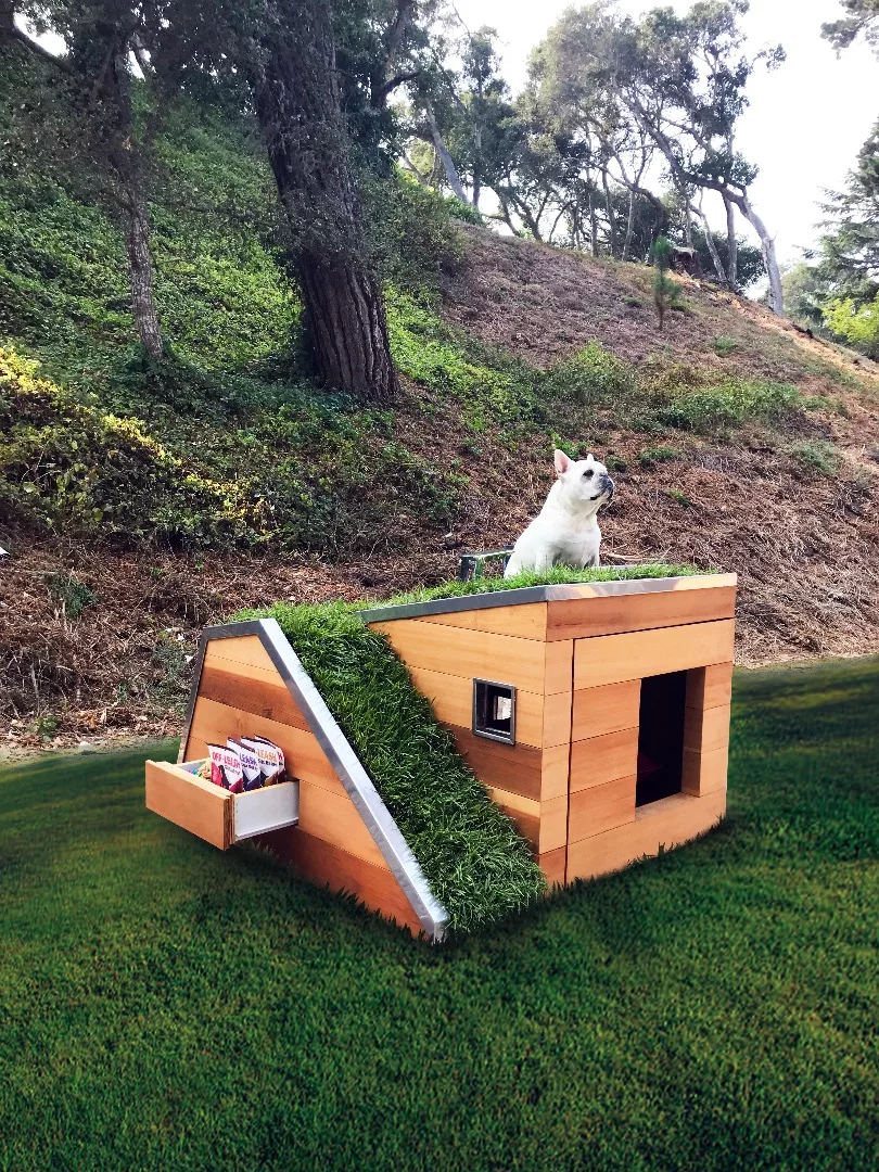 Doggy Dreamhouse features an external storage drawer for food and toys