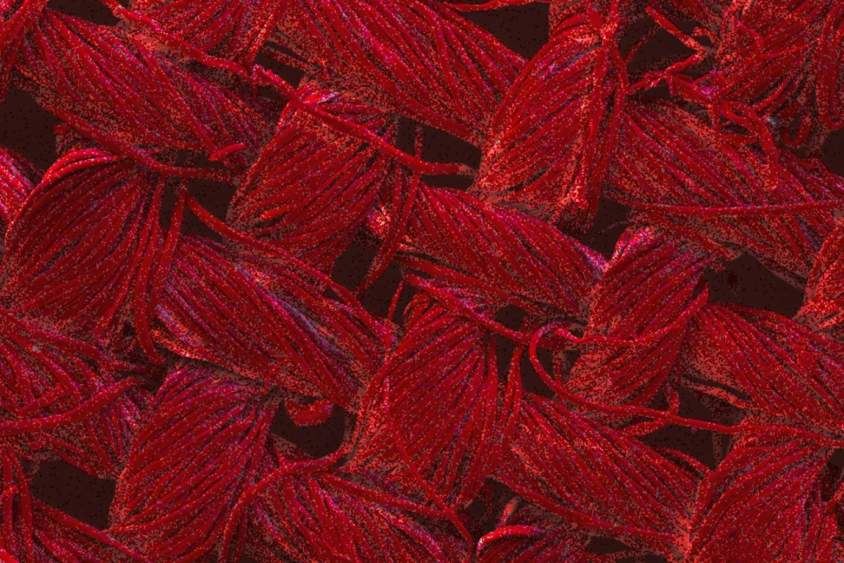 Red indicates the coverage of silver nanoparticles in a fabric in this image that's been magnified 200 times