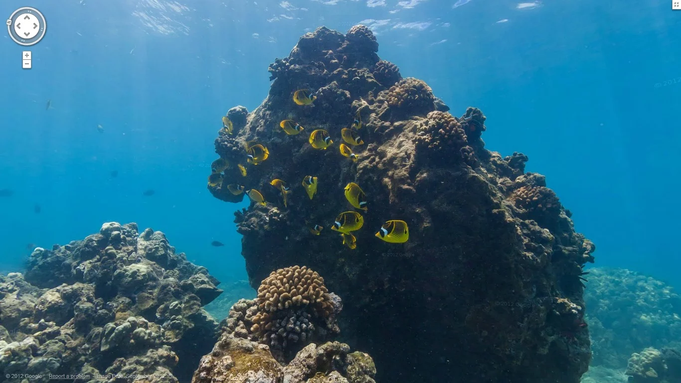 Google recently unveiled some new underwater locations for Google Maps, where users can explore panoramic views of ocean life and coral reefs from around the world using Street View