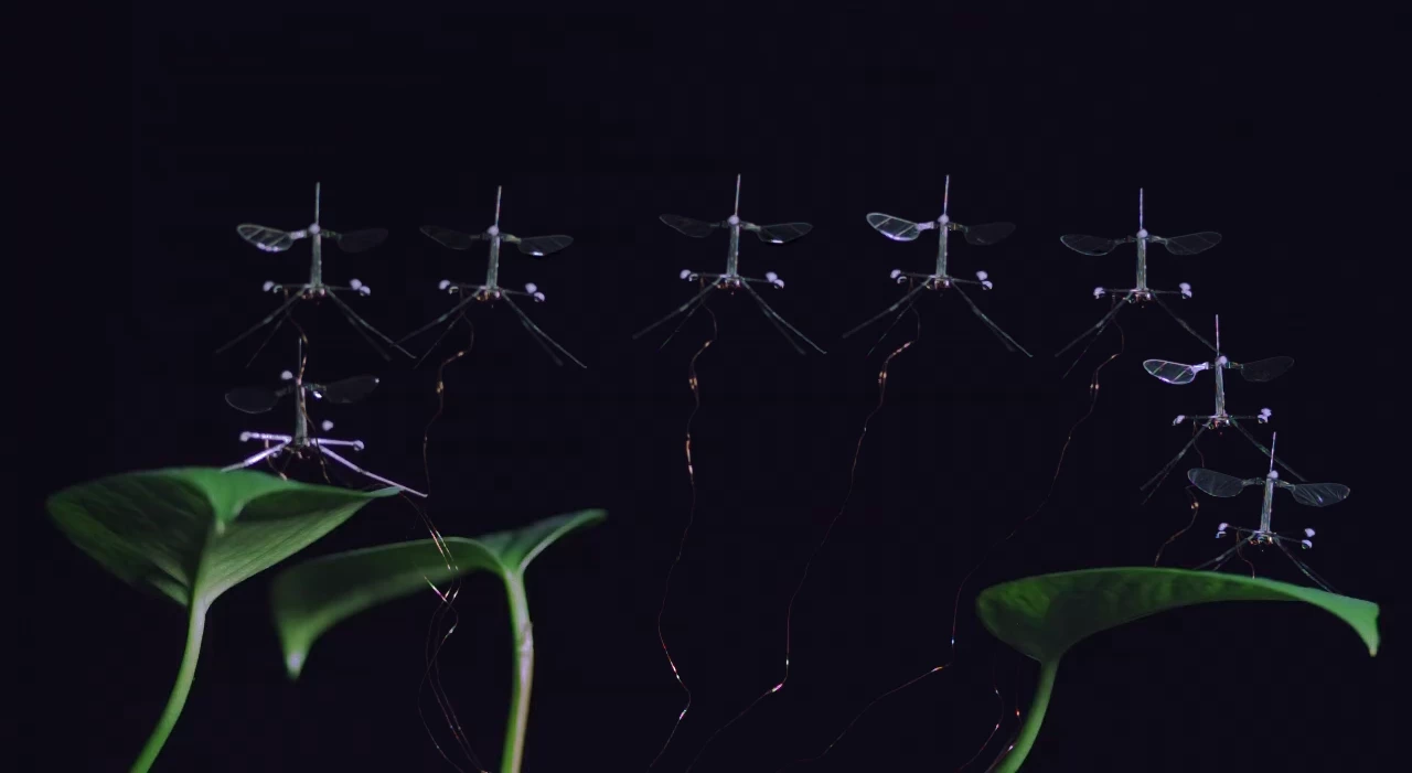 A multiple exposure of the RoboBee using its new legs to take off from one leaf and land on another
