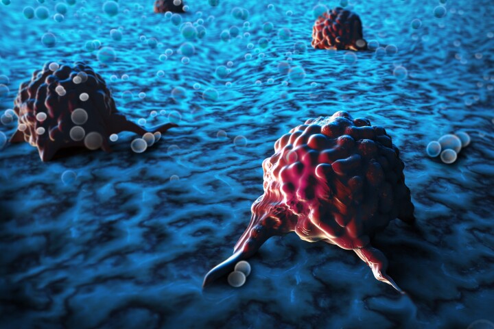 A novel compound found in a fungus species has some promising cancer-fighting potential