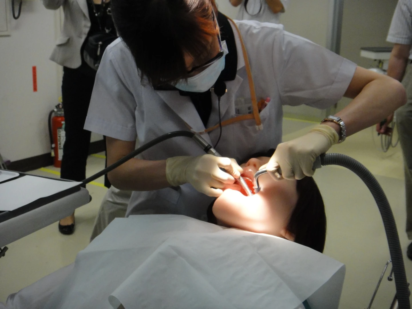 Robotic dental patient Showa Hanako 2 (Photo: DigInfo)