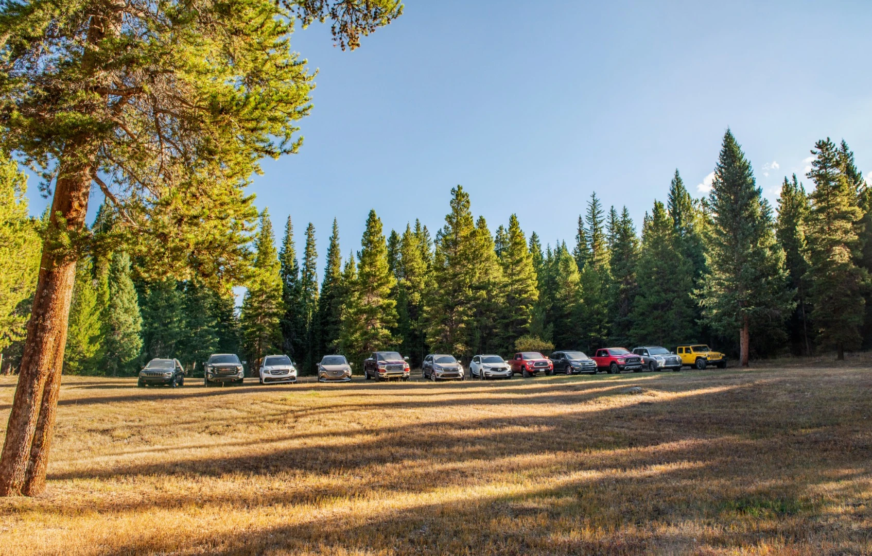 At our base camp in the hills, the lineup of off-pavement hopefuls is assembled