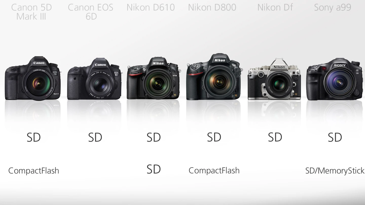 Because DSLRs tend to be bigger than their mirrorless counterparts, they often have the option of using dual and different storage media