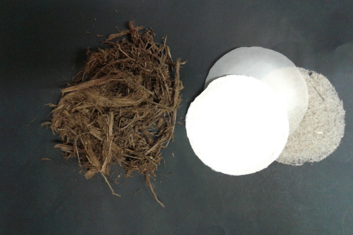 When life gives you manure, make paper