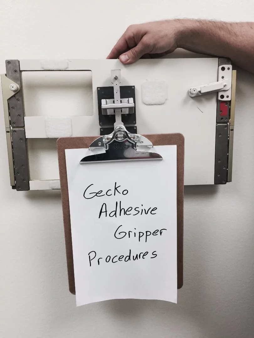 A gecko-inspired astronaut anchor holding a clipboard