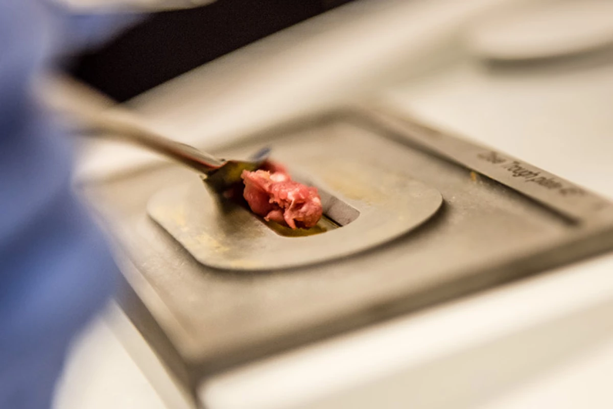 A beef sample is placed in a laser-equipped spectrometer