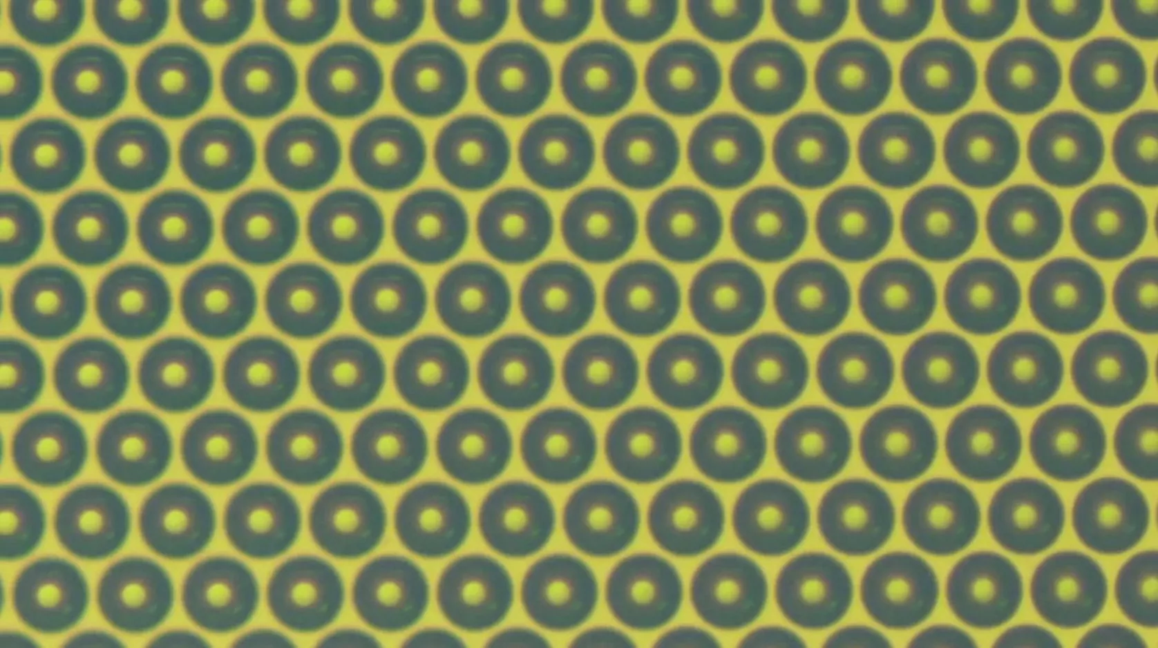 A close-up view of the microlenses making up the biochip array