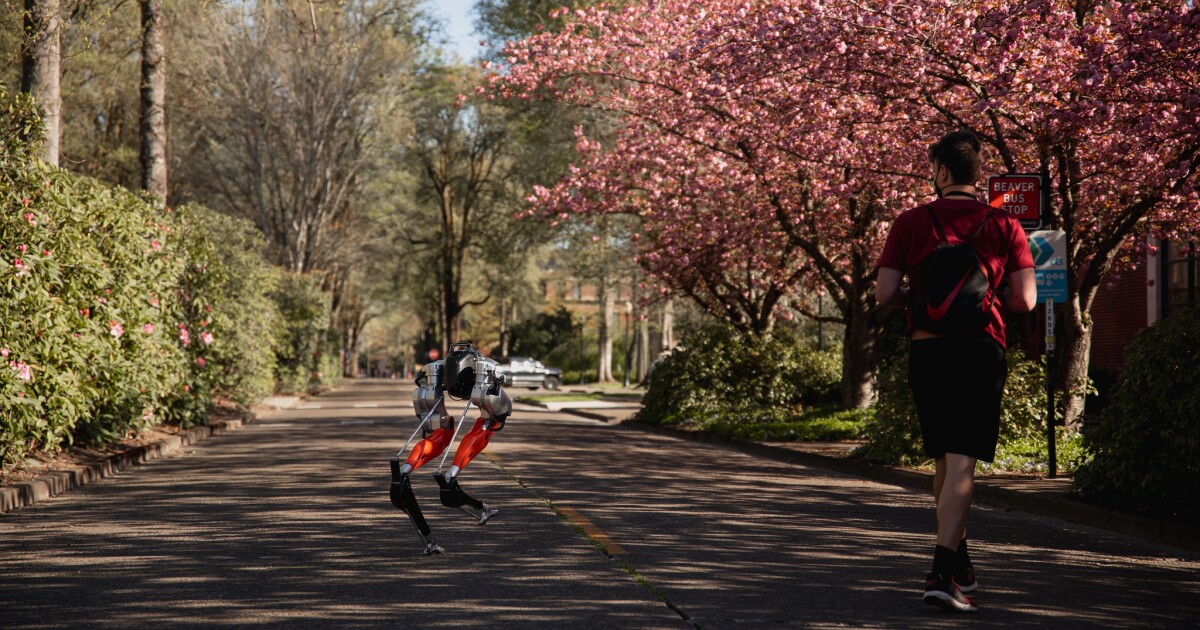 Cassie the bipedal robotic makes use of machine studying to finish a 5km jog