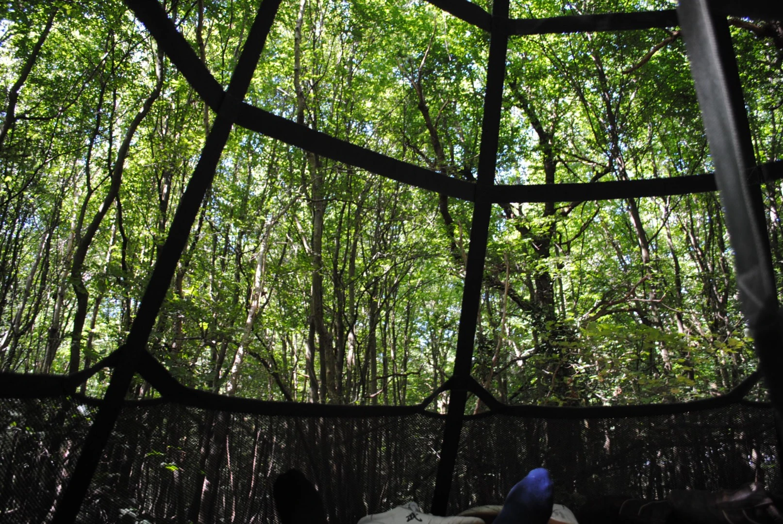 View from inside the Sky-Pod tent