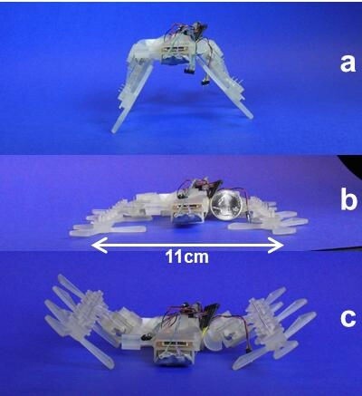 At a sprawl angle of zero degrees, the robot lays flat on the ground and has a height of just 2.5 cm (1 in), with a length of only 12 cm (4.7 in) and a width of 11 cm (4.3 in)