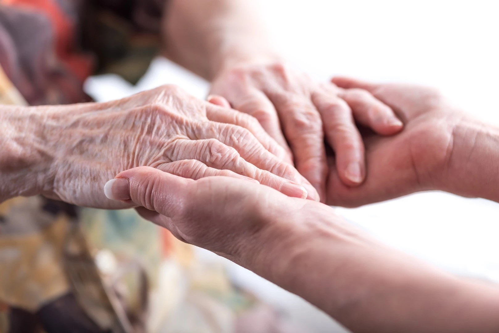 The embryonic gene, Nanog, has been shown to replenish the ability of adult stem cells to regenerate, which could be used to slow or even reverse the aging process in humans