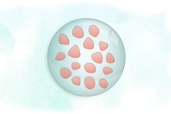 A simplified diagram of the Nose2Brain patch, loaded with biomaterial-based drug particles