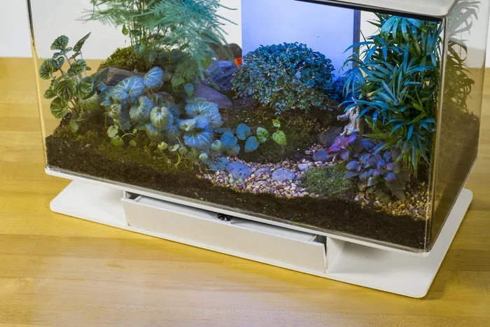 From the SmartTerra app, users can set daily cycles of light and rain, and get real-time data on the environment in the terrarium