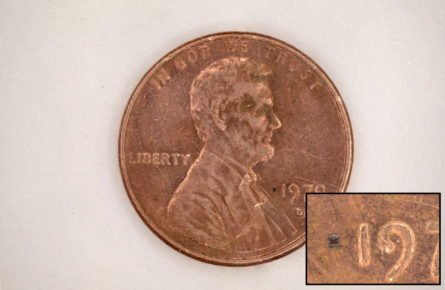 World's smallest autonomous robots could one day save your life