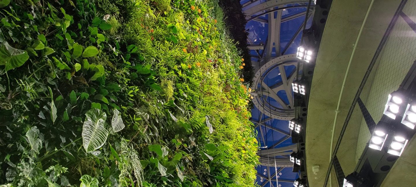 The Living Wall