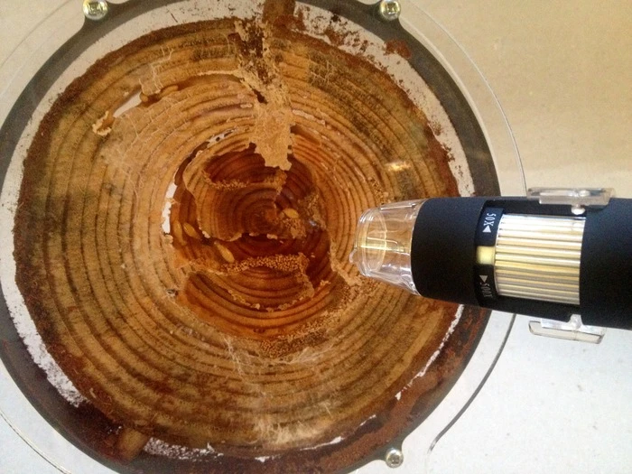 ... or a USB electronic microscope