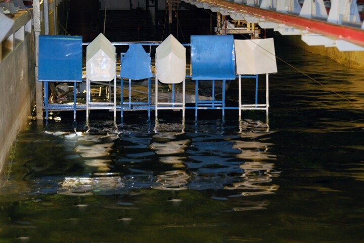 The Wave Clapper/Power Wing buoys will be designed specifically for the area in which they'll be deployed