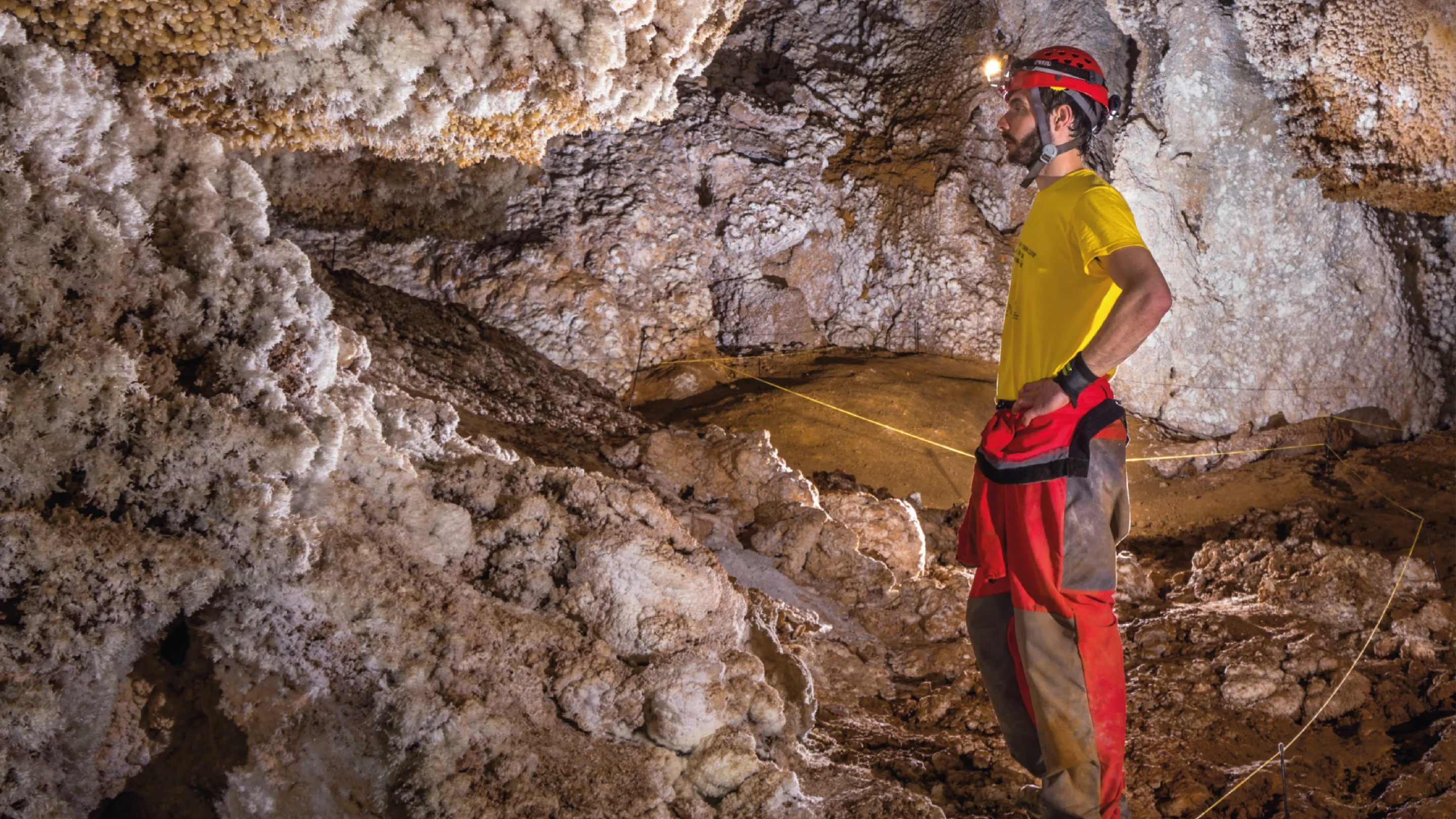 The Carbi has a 150-meter (492-ft) Spot distance and a 210-degree Flood width