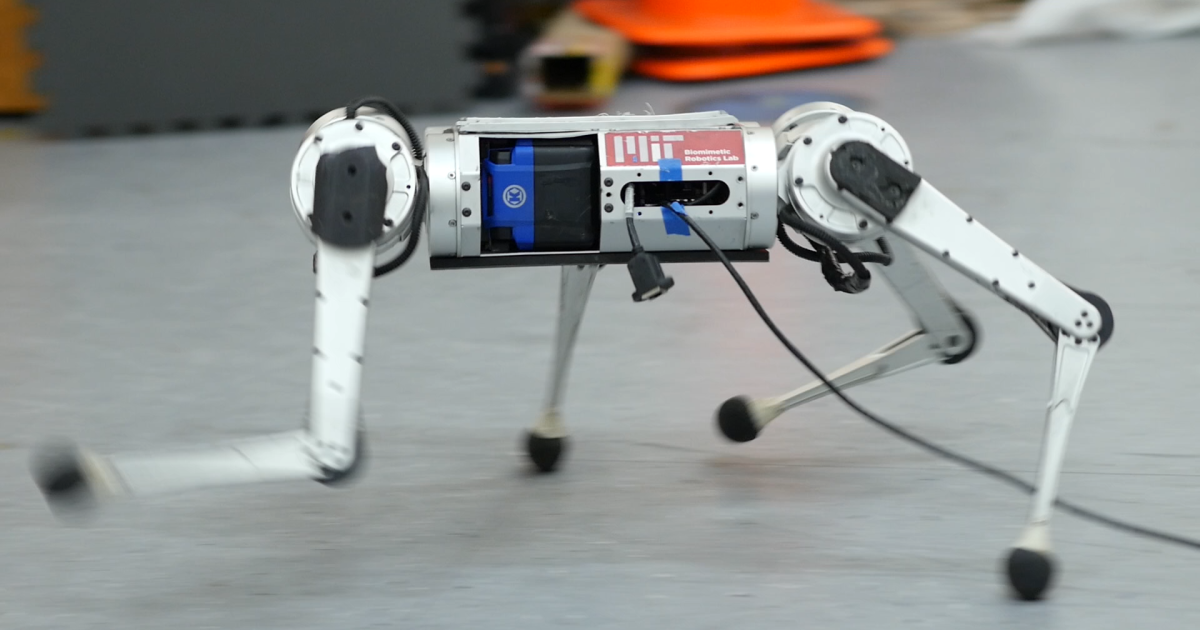 MIT’s mini cheetah units new velocity PB by studying from expertise