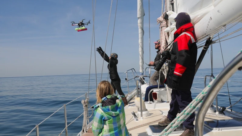 Altogether, samples were collected from17 whales off of Cape Cod, Massachusetts, and nine whales near Vancouver Island, Canada